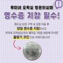 루미네상점