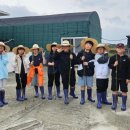 태흥초등학교 이미지