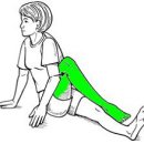 무릎 통증에 좋은 정보/퇴행성관절염과 무릎인대의 손상 이미지