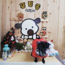 멍이랑 양이랑 Daum카페
