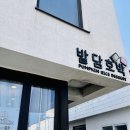 밭담 | 📍 제주 신창리 밭담호박 카스테라 밤호박인절미 후기 (순삭한 이유)