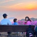 대금산진달래길(등산) 이미지