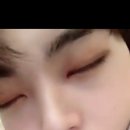 5959 내강아지 이미지