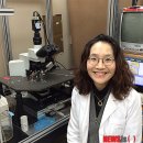 메디스타 이미지