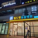 윤쌤동물병원 이미지