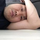 무안팬션
