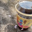 애월고등학교 이미지