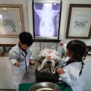 소풍동물병원 이미지