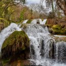 세종 행정사 합동사무소 이미지