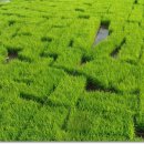 인제농장 이미지