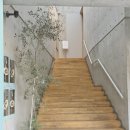 체리커피 - 광진구 능동로 284 | 가족과 주말에 찾기 편했던 수성못 카페, “사이커피“ : 여름맛 ‘체리팥 쉐이크🍒’ 후기