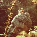 런드리피플 이미지