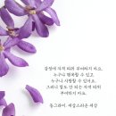 동그라미 이미지