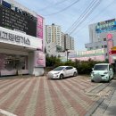 최고당돈가스대구 네이버블로그