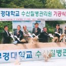 부경대학교 수산질병관리원 이미지