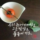 시골소풍 이미지