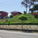 음성종합운동장 이미지