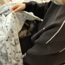 반갑다 창문밖 고양이 이미지