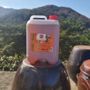 삼양수산 이미지