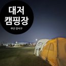 대저캠핑장 | [다섯번째 캠핑]3월 대저 캠핑장 이용후기