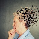 야동경로상 | 알츠하이머 병을 치료할 수 있는 단서, APOE 단백질