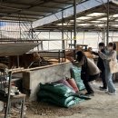 외율마을회관 이미지