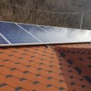 나무숲펜션 이미지