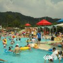 신정호야외수영장 이미지