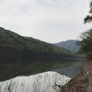 금강물길 | 금강천리비단물길 여행 (옥천팜랜드)