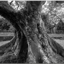 와흘본향당 이미지