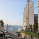 주례초등학교 | 개금 벚꽃길 부산 벚꽃 명소 실시간 후기 주차 꿀팁까지