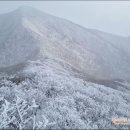 허영근약국 Daum카페