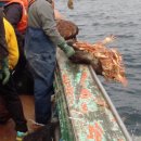 동해-단속-34 이미지