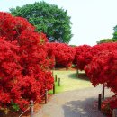 오토마을 이미지