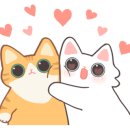 더샘홈플러스 이미지