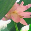 황제세탁소 이미지