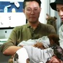 펫비서 이미지