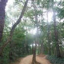 [광주 광산구]광주여대~동자봉(154m)~풍악정~어등산 석봉(338m)~등용정~풍악정~광주여대 다녀오기(2019/8/20/화 오후) 이미지