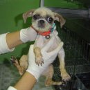 은평-056 이미지