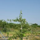 별샘농장 이미지