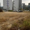 이산공인중개사사무소 이미지