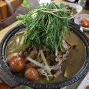 여우골옻닭 이미지