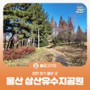 삼산유수지체육공원 | [블로그 기자] 잠깐 걷기 좋은 곳, 울산 삼산유수지공원