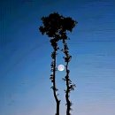 해와달 이미지