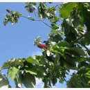 양편농장 이미지