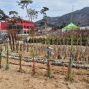 장수군산림조합 이미지