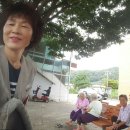 보두경로당 Daum카페
