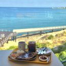 세븐일레븐 포항해도파크점 | 내돈내산 포항 애견동반 대형 카페 러블랑 댕댕파크 후기 오션뷰 보며 강아지랑 여행하기