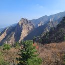 청보식물원