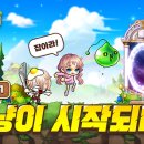 메이플인